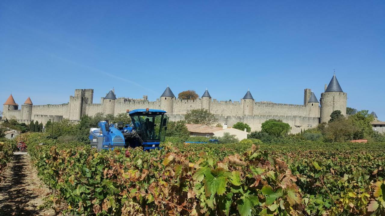 Domaine Fontgrande Gite Carcassonne Eksteriør bilde