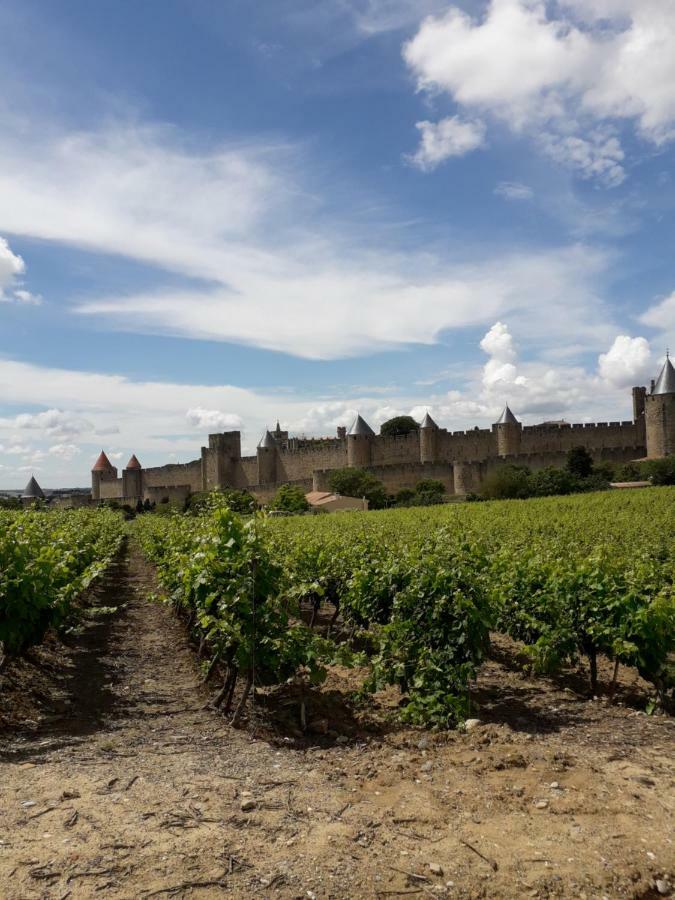 Domaine Fontgrande Gite Carcassonne Eksteriør bilde